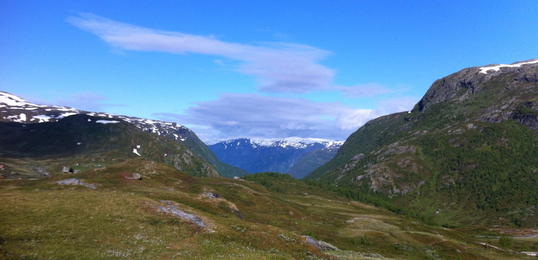 IMG_3423 IMG_3423