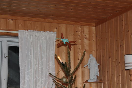 IMG_4949 IMG_4949