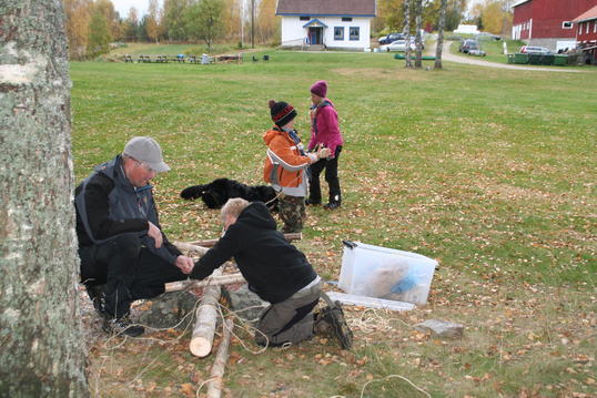 IMG_6095 IMG_6095