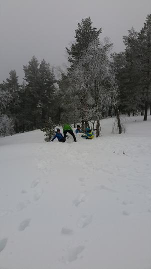 snøballkrig snøballkrig